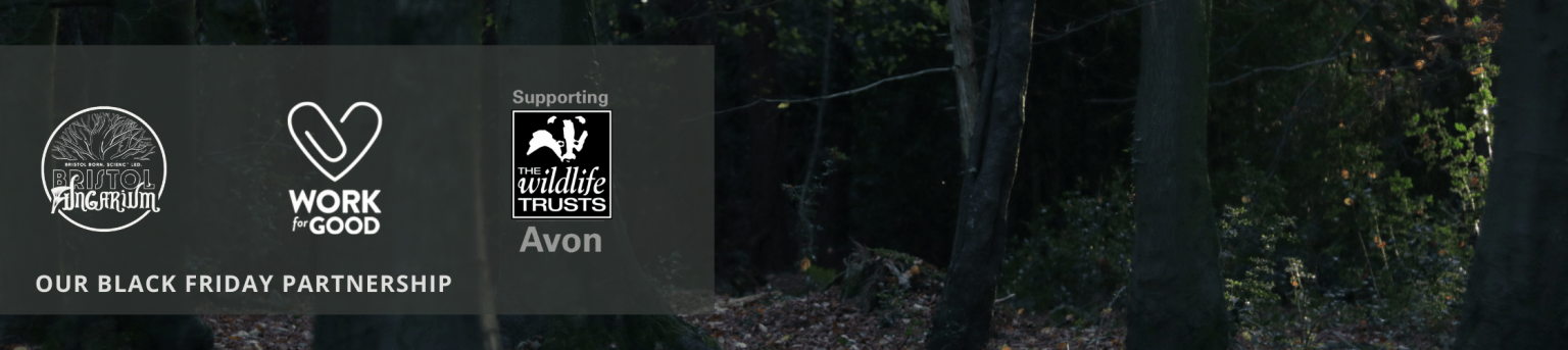 Our pledge this Black Friday