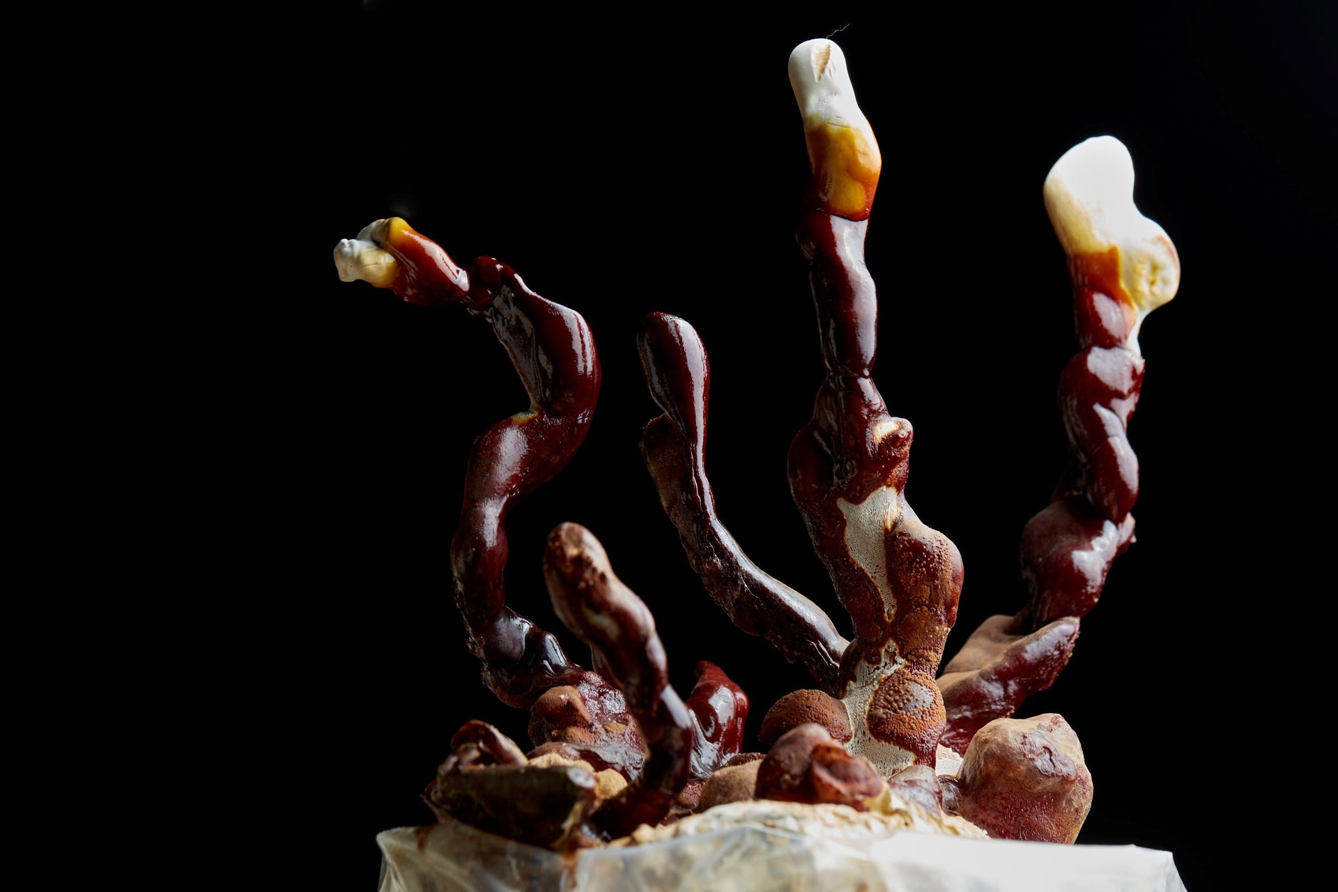 Functional Mushrooms & The Menopause