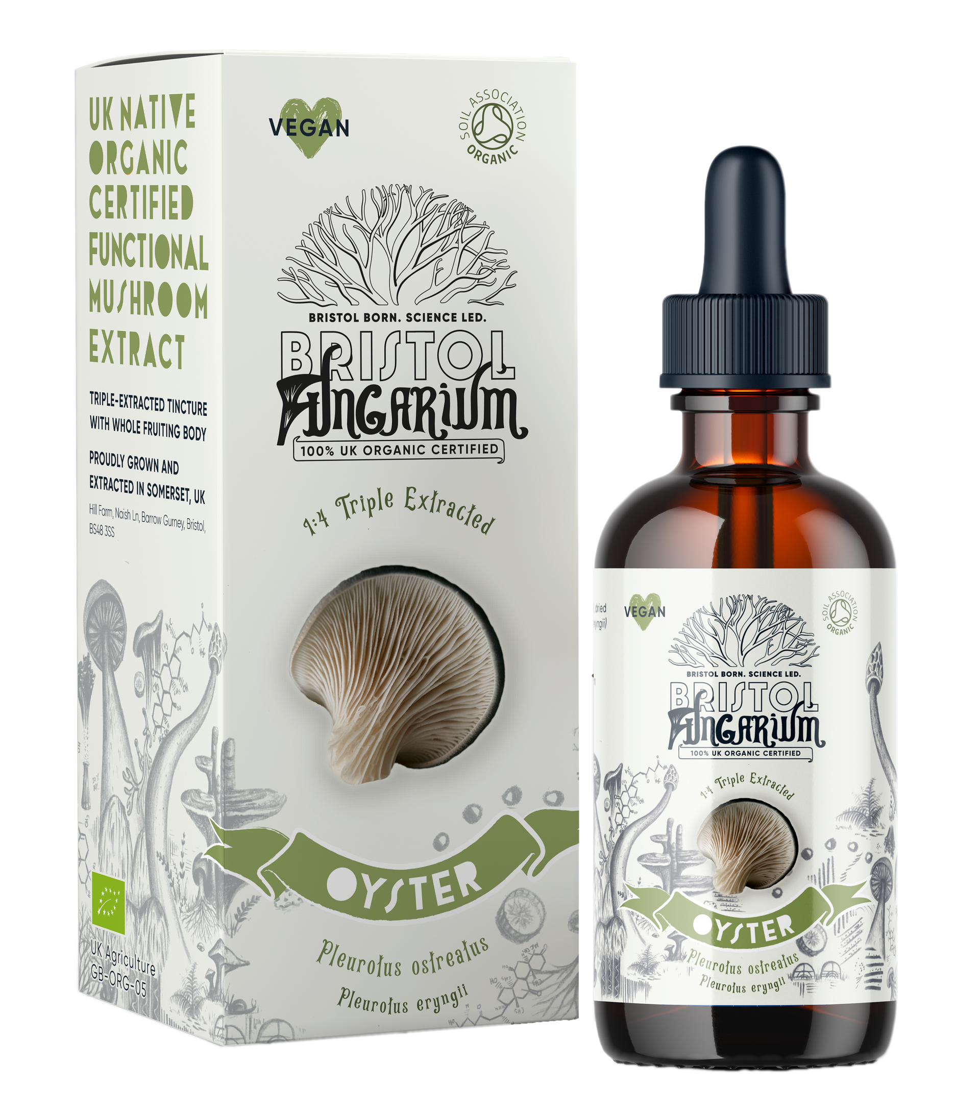 The Everything Bundle