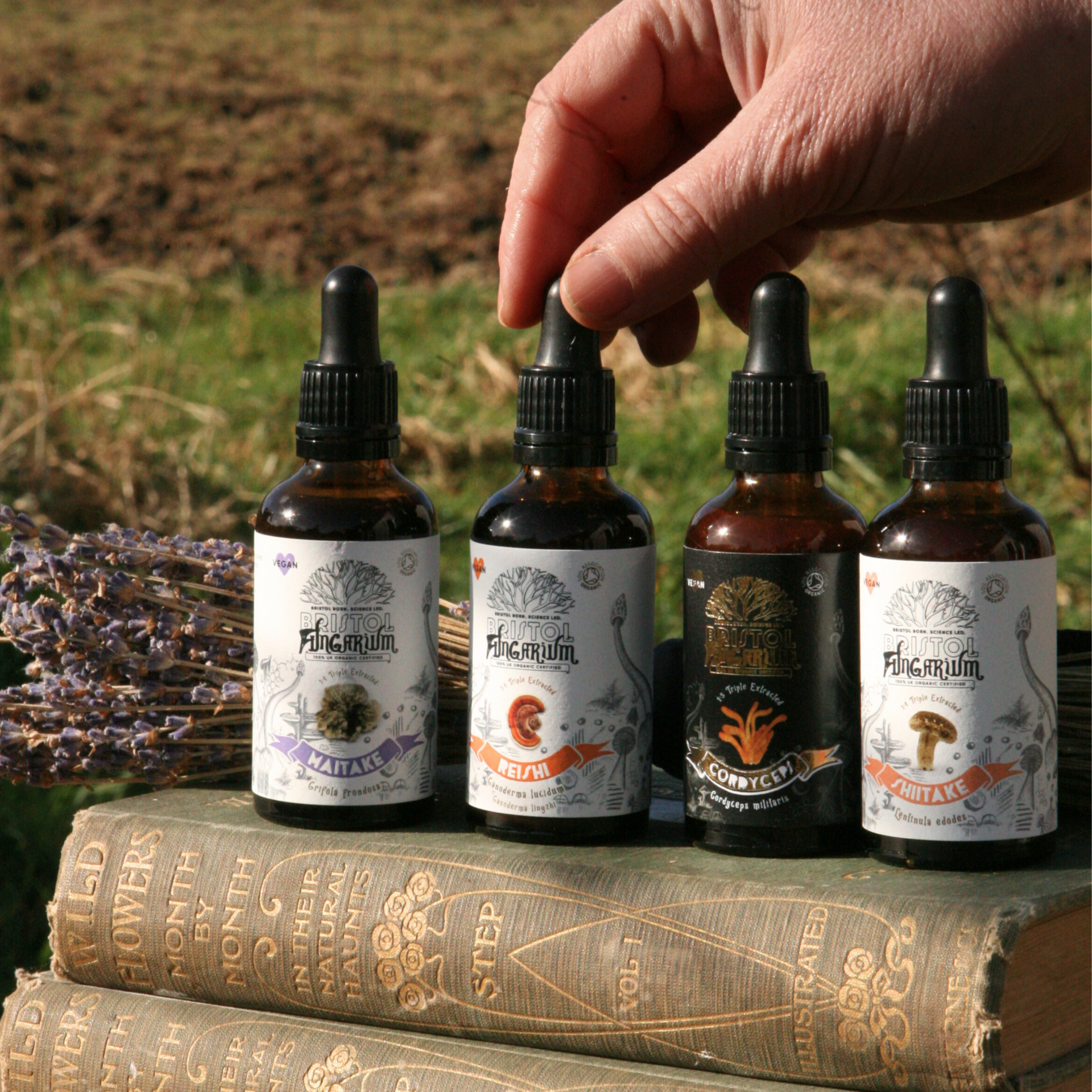 Menopause Support Bundle 2.0