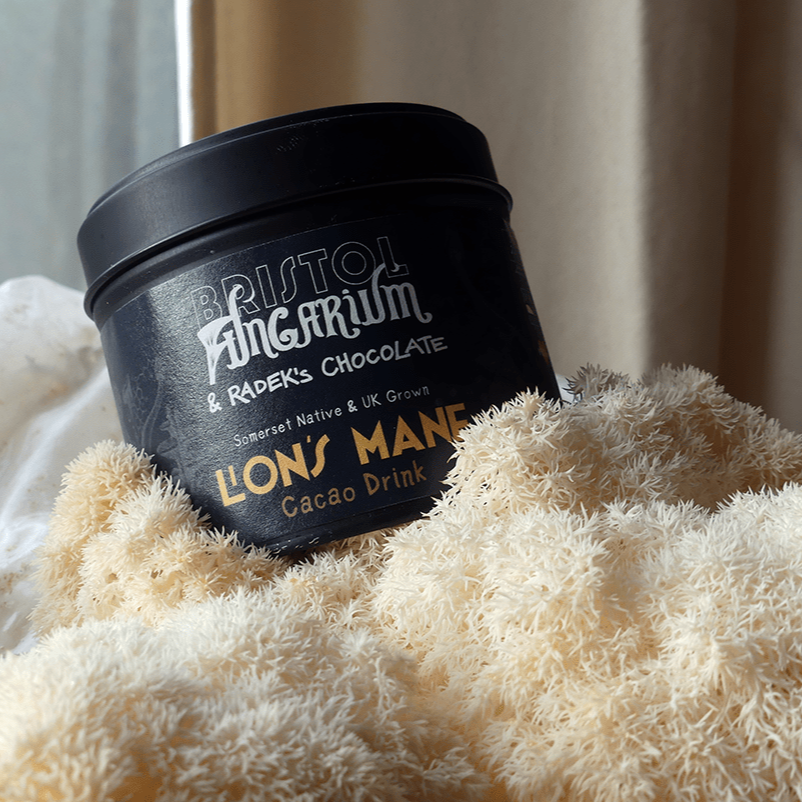 Lion's Mane Cacao Drink