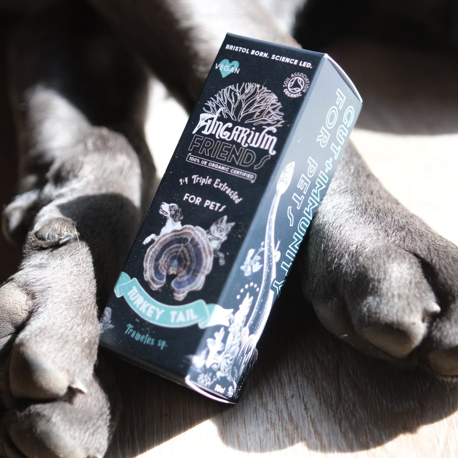 Fungarium Friends Organic Turkey Tail Tincture for pets