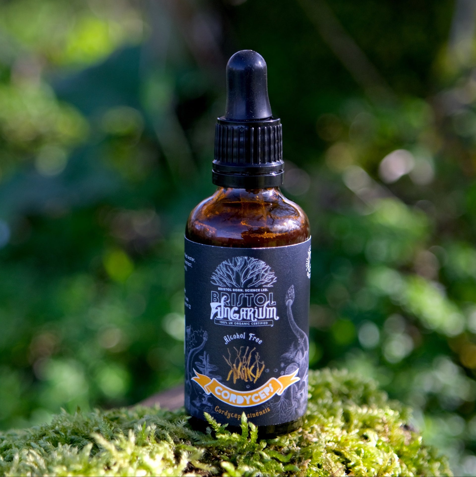 (New) Organic Cordyceps Sinensis Tincture