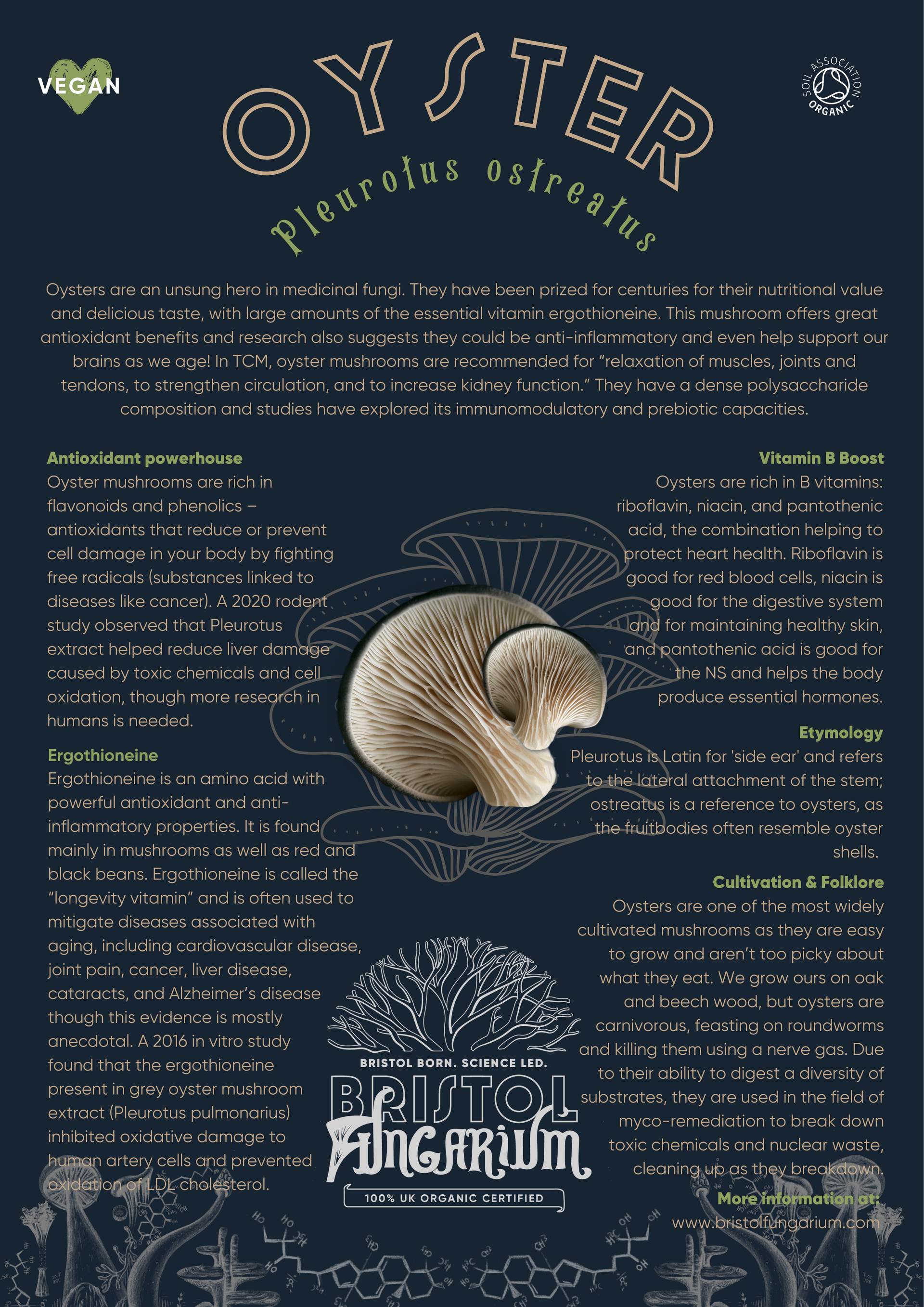 Organic Oyster Tincture
