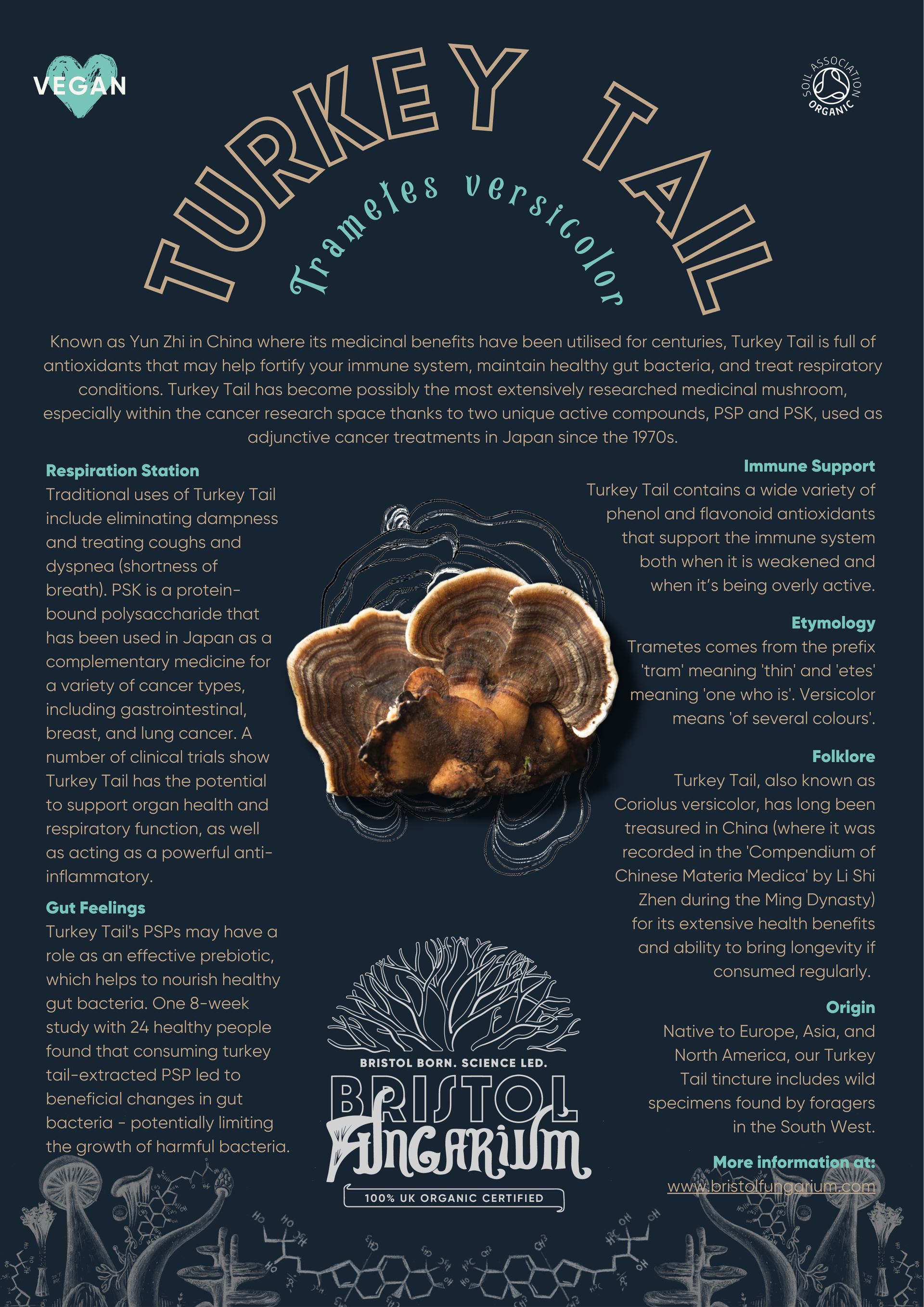 Fungarium Friends Organic Turkey Tail Tincture for pets