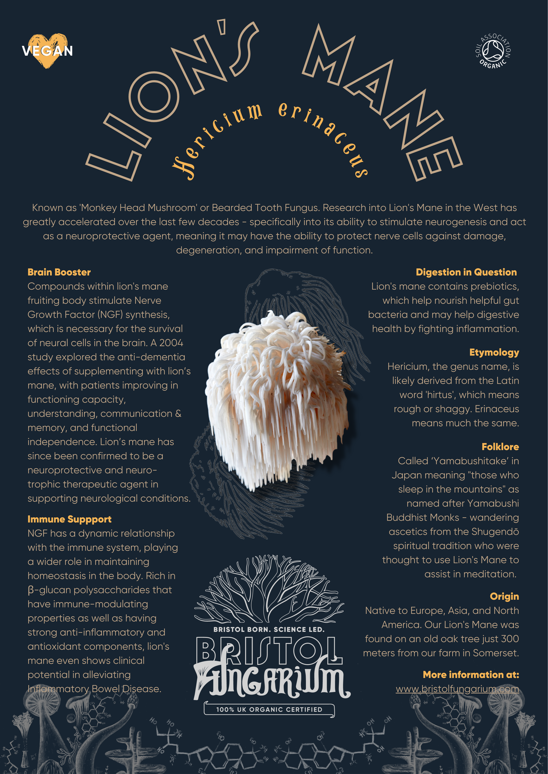 Organic Lion's Mane Tincture