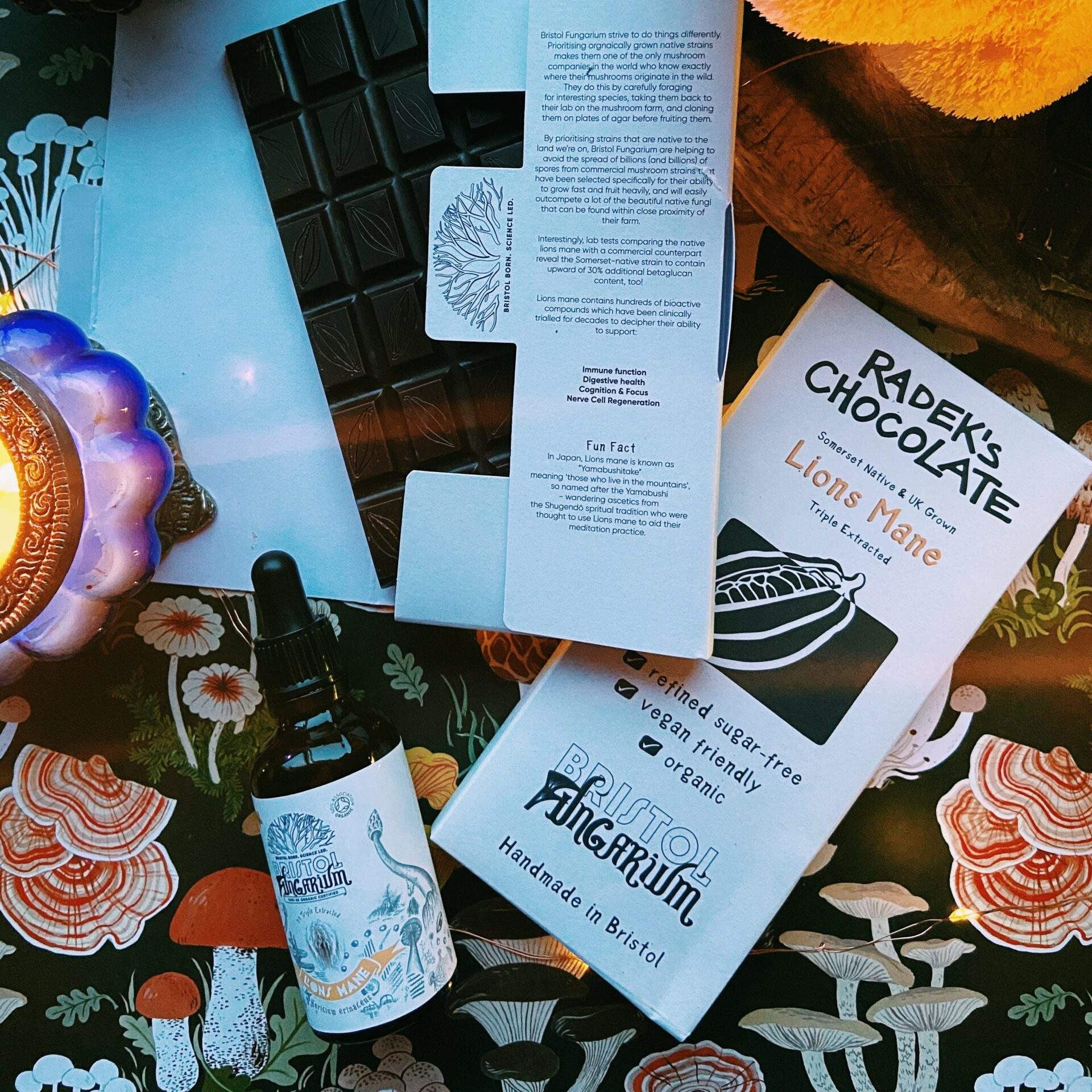 Lion's Mane Chocolate Bar