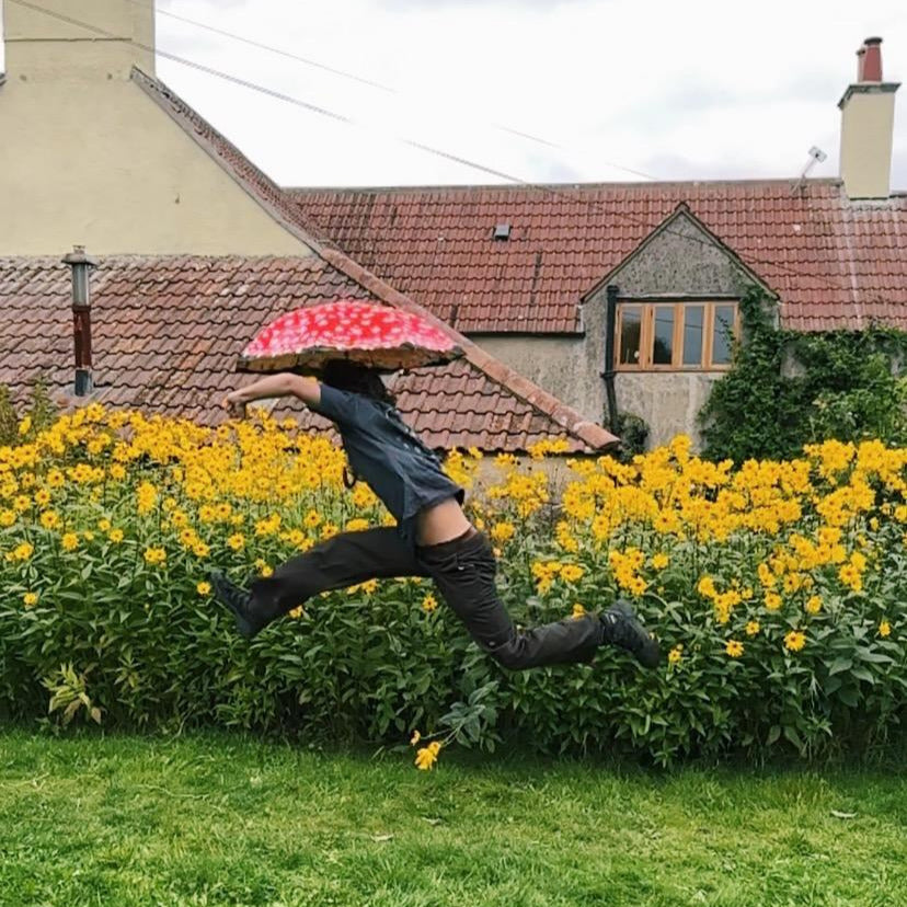 Fungarium Umbrellas