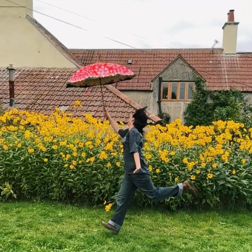 Fungarium Umbrellas